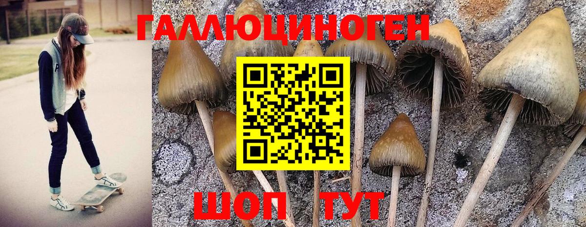 Новотроицк  Псилоцибиновые грибы мухоморы  Вход с VPN 