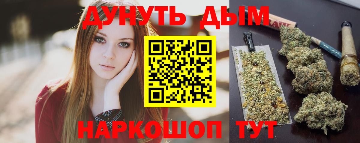 Канабис семена  Вход с VPN  Новотроицк  Шишки марихуана семена  Бошки марихуана Bruce Banner  Бошки Шишки гибрид 